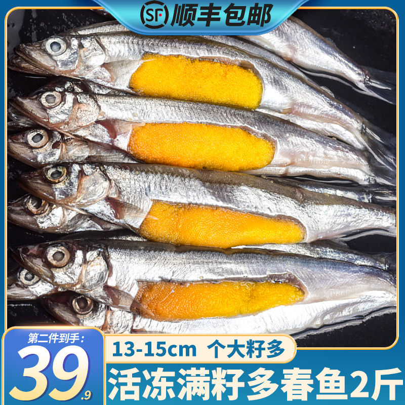 新鲜多春鱼满籽带籽多籽鱼多子鱼烧烤香煎鱼籽鲜活冷冻顺丰包邮