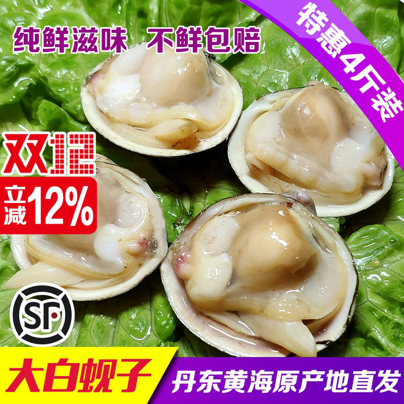 丹东大白蚬子大白蛤野生鲜活无沙珍珠贝花甲水产海鲜贝4斤包顺丰