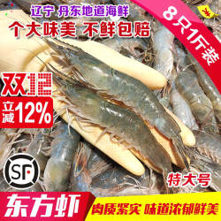 丹东野生海捕超大东方虾活冻对虾大号海鲜白虾明虾大海虾大虾青虾
