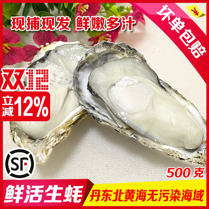 丹东大号生蚝鲜活刺身生蚝烧烤