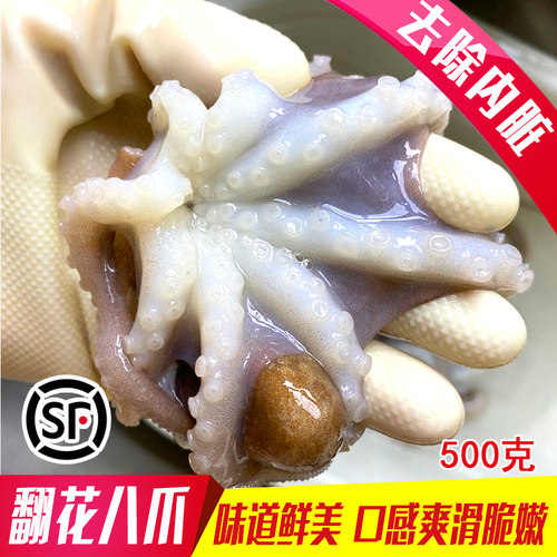 去内脏超大八爪鱼短腿网红八爪鱼