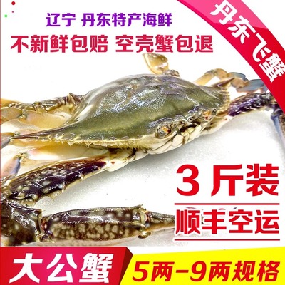 活发丹东大飞蟹老东沟大公蟹包肥