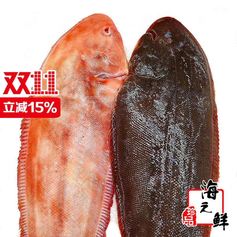 新鲜特大踏板鱼真龙利鱼两斤一条