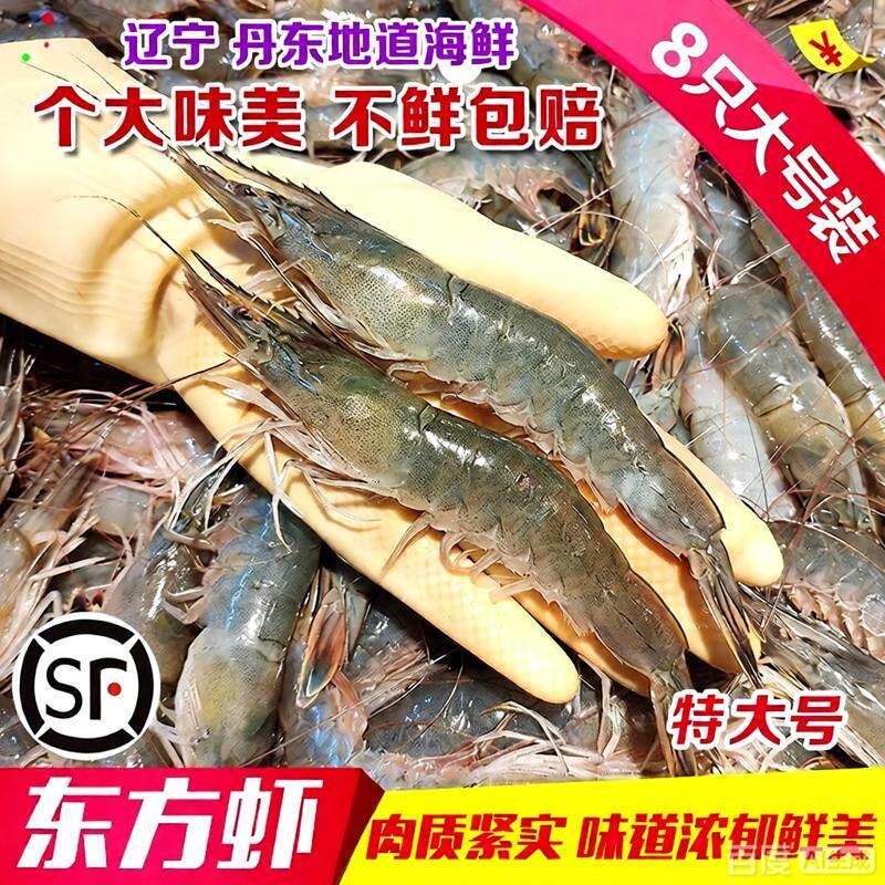 丹东野生海捕超大东方虾活冻对虾大号海鲜白虾明虾大海虾大虾青虾