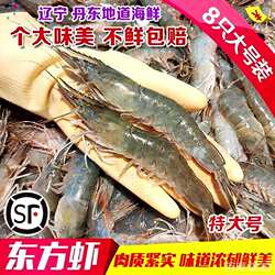 丹东野生海捕超大东方虾活冻对虾大号海鲜白虾明虾大海虾大虾青虾