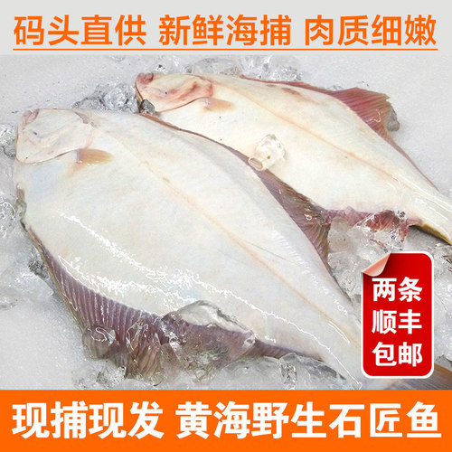 新鲜石浆鱼1斤半1条深海鲽鱼