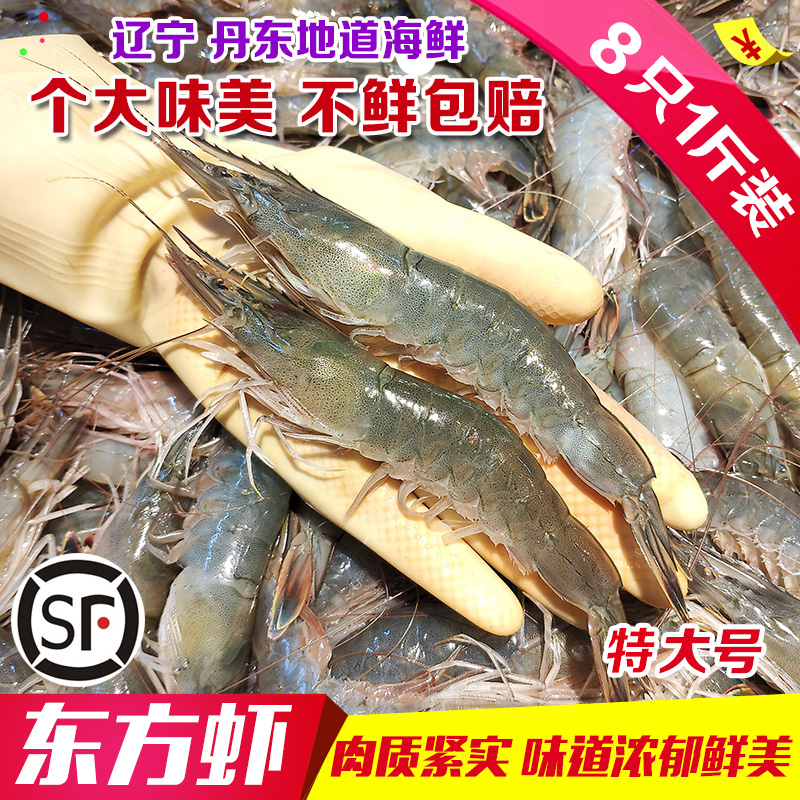 丹东特大东方虾大号对虾10头1斤