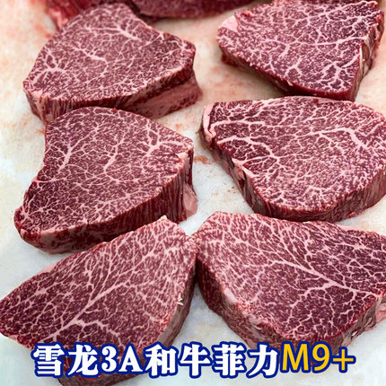 国产雪龙m9+和牛菲力牛排原切m8龙江和牛雪花牛肉儿童牛排厚切