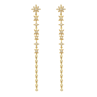 APM Monaco长款流苏耳环女款轻奢小众设计感高级耳饰YE14831OX