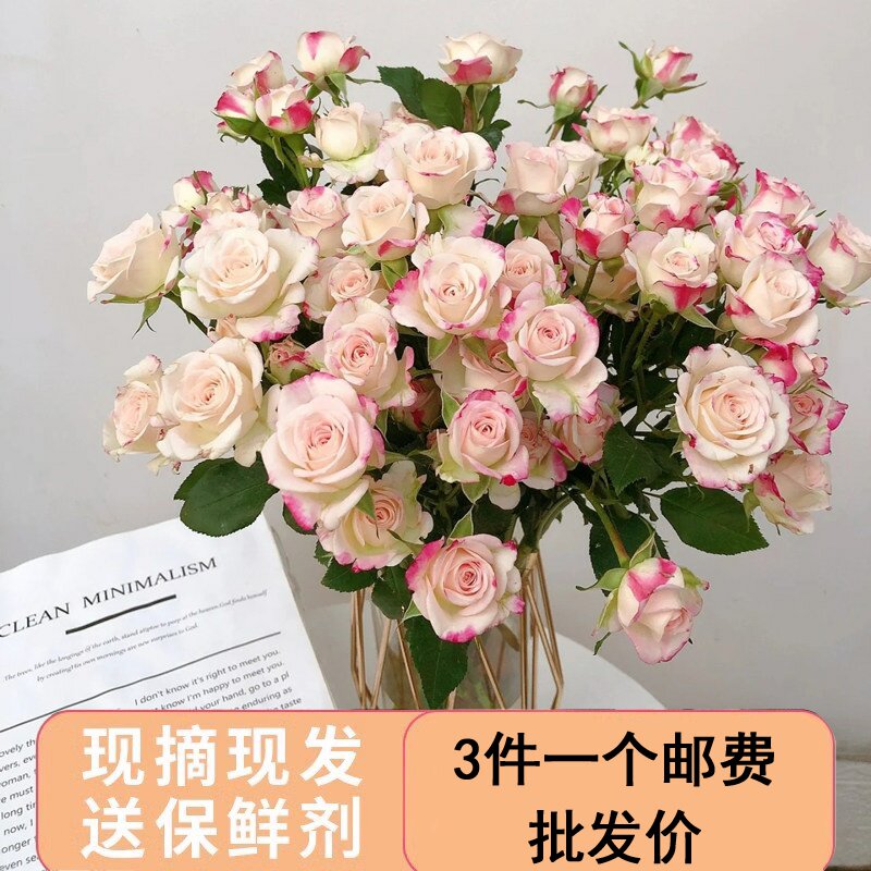 折射多头泡泡玫瑰云南昆明鲜花水培直发鲜切花家用插花图片