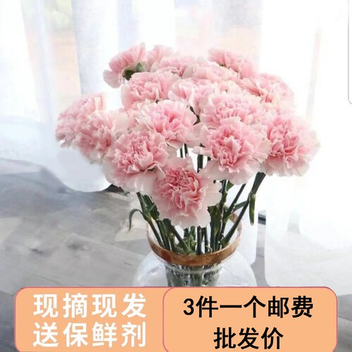 云南昆明直发花材批发