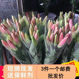 斗南鲜花云南直批香水百合玫瑰鲜切花束插花水养速递鲜花家用插花