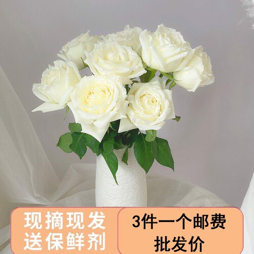 套餐10朵紫玫瑰绣球雏菊