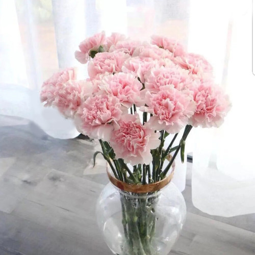 云南昆明直发花材批发