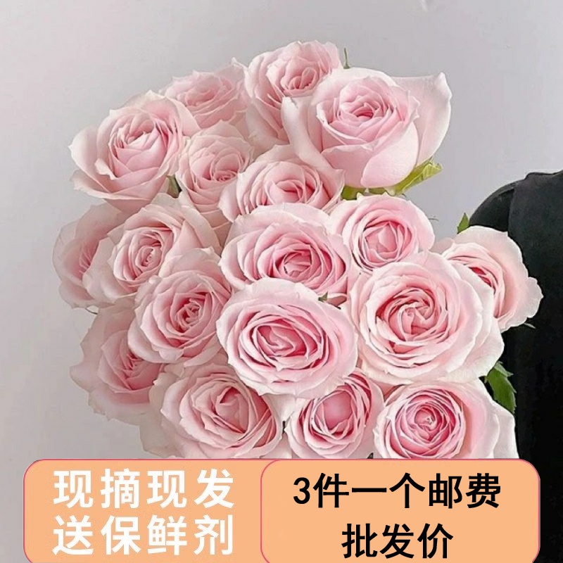 云南玫瑰鲜花昆明顺丰直发