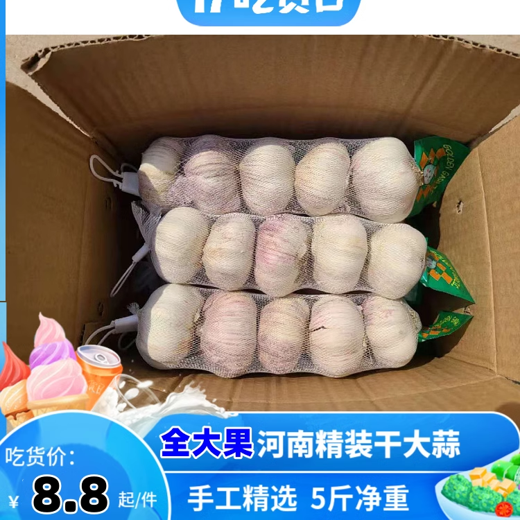 2025年新干蒜独立包装紫红皮