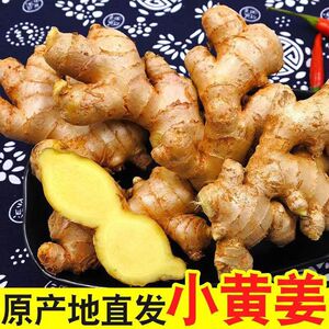 正宗云南小黄姜10斤新鲜生姜老姜现挖高山沙姜老嫩姜土姜5斤蔬菜