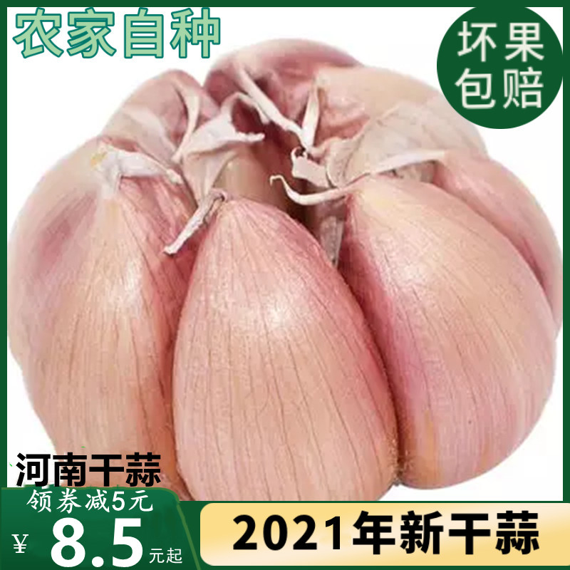大蒜頭2021新干大蒜頭5斤紫紅皮大蒜種籽干蒜10斤2斤河南干大蒜