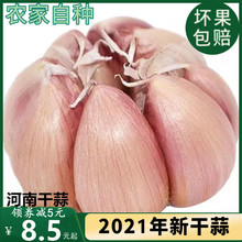 大蒜头新干大蒜头5斤紫红皮大蒜种籽干蒜10斤2斤河南干大蒜非鲜蒜