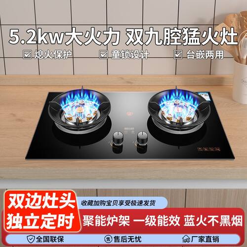 福康好太太煤气双灶台式