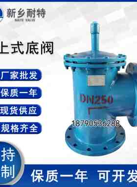 新型SSDF-10 水上式底阀DN65水泵止回阀铸铁XXDF