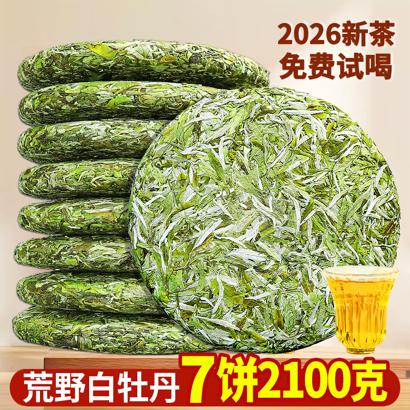 2026年荒野白茶白牡丹茶饼福建福鼎高山明前采摘7饼2100克整提