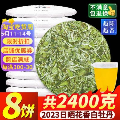 8饼一提2023花香福鼎荒山白牡丹