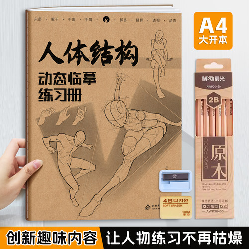 素描速写基础入门美术培训