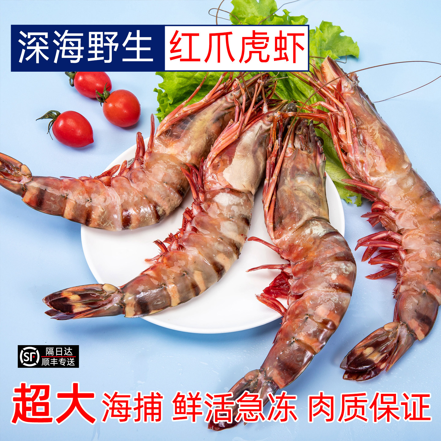 天然海捕超大红爪虎虾2斤装