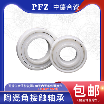 德国PFZ氧化锆全陶瓷轴承 6300 6301 6302 6303 6304 6305 6306CE