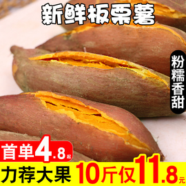 红薯新鲜板栗薯10斤沙地蜜薯农家自种地瓜山芋小黄心薯5糖心番薯图片