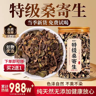 寄生中药材正品300g克官方旗舰店野生桑寄生的功效茶泡水喝滋补