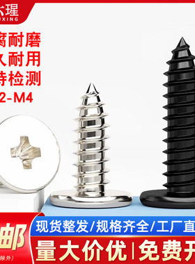 铁镀镍CA扁平头自攻螺丝钉黑色大扁薄头尖尾十字自攻丝木螺钉M2M4