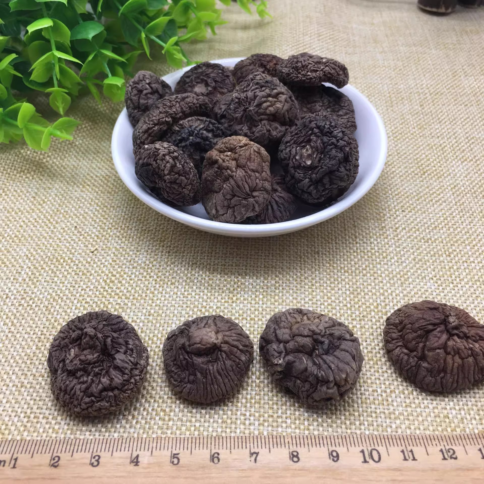 新香菇福联福建香菇干250g散装