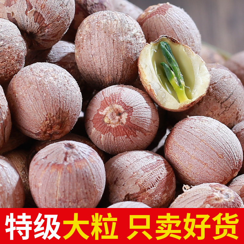 大颗粒带芯红莲子干货500g特级无硫有芯湖南农家新货红皮湘莲子米
