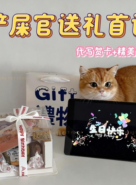 小猫生日礼物猫咪生日装扮猫咪礼物猫咪生日猫玩具送给小猫的礼物