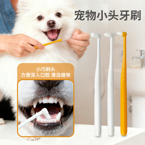 宠物用品宠物牙刷狗牙刷猫咪狗狗口腔清洁万根毛多用异形牙刷