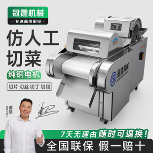 冠霆切菜机商用多功能全自动土豆切丝切丁机不锈钢食堂蔬菜切段机