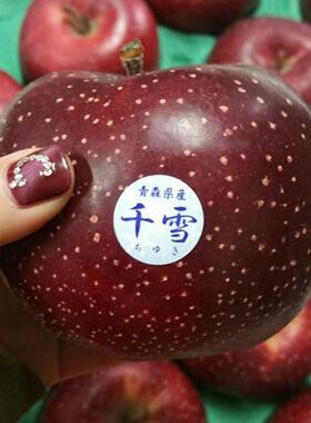 日本品种嫁接苹果树苗