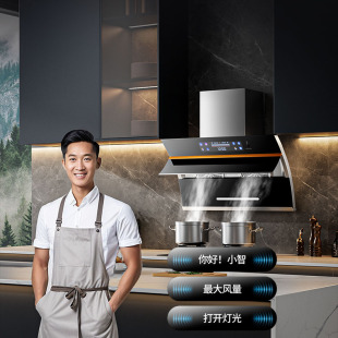 新飞大吸力双电机油烟机家用厨房吸油烟机侧吸小型租房抽油烟机