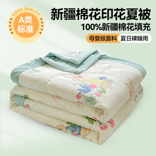 A类母婴级柔软糯云朵棉夏被空调被夏季 单双人新疆棉花夏凉被