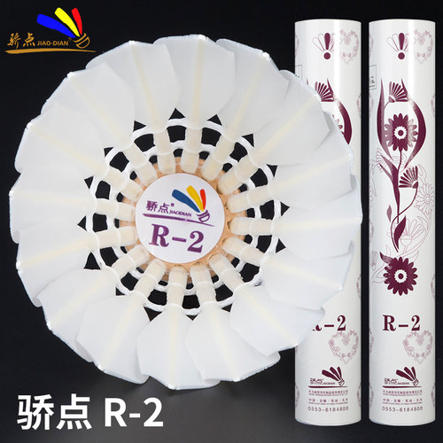 正品骄点羽毛球R2/R-2飞行稳定好手感耐打12只装比赛超级耐打ymq