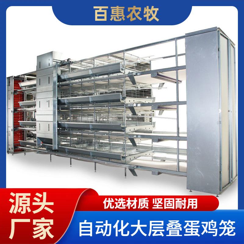 全自动蛋鸡笼层叠式养鸡设备加密加粗自动化大层叠蛋鸡笼