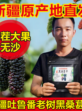 新疆桑葚干黑桑椹干果即食头茬大果新鲜药材泡酒泡茶水无硫熏特产
