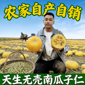 新疆阿勒泰新货无壳南瓜子仁原味大颗粒生南瓜籽孕妇零食烘焙即食