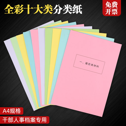 50套新标准A4干部人事档案分类纸
