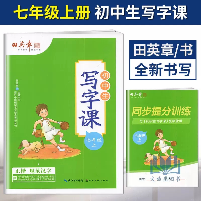 文化初中生语文同步写字课田英章