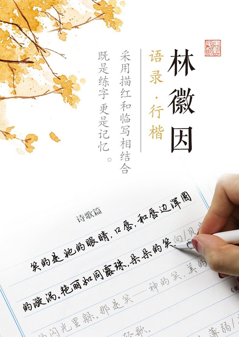 钢笔字帖林徽因语录行楷 诗歌散文小说书信文艺小清新女生行楷行书