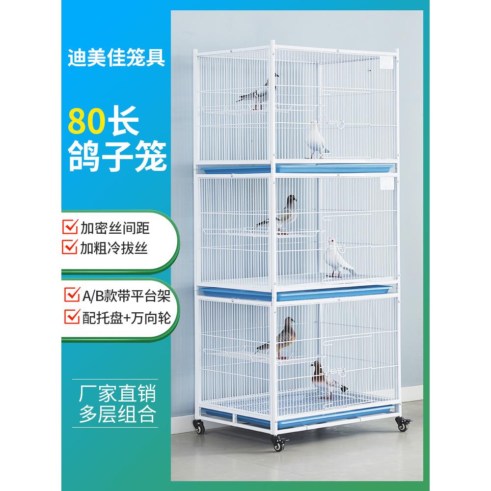 鸽笼配对笼笼笼笼笼笼笼笼公众舍鸽舍饲养笼鸽室内观察笼防黄鼠狼