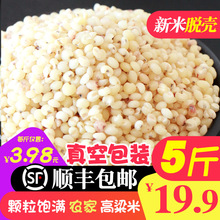 高粱米 东北特产食用粗粮新米脱壳白高梁米高粮米酿酒高粱5斤真空